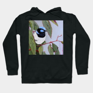 Blue Wren amongst the Gum Leaves Hoodie